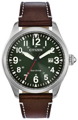 Citizen Garrison
