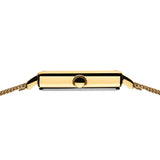 Bering Classic Dorée Maille Acier
