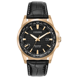 Montre Citizen World Perpetual Acier