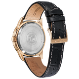 Montre Citizen World Perpetual Acier