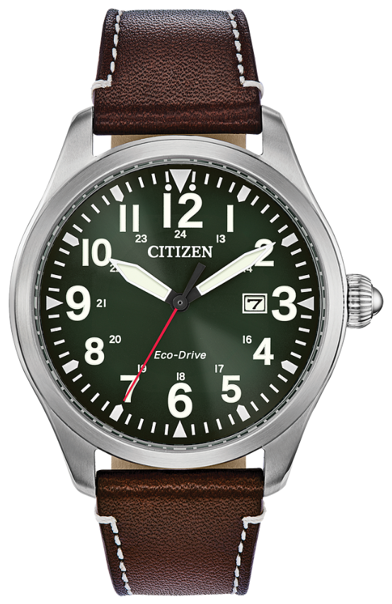 Citizen Garrison