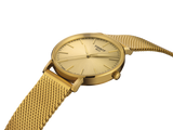 Tissot Everytime Gent Doré