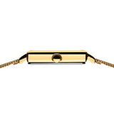 Bering Classic Dorée Maille Acier
