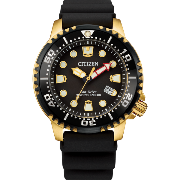Montre Citizen Promaster Diver BN0152-06E