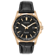 Montre Citizen World Perpetual Acier