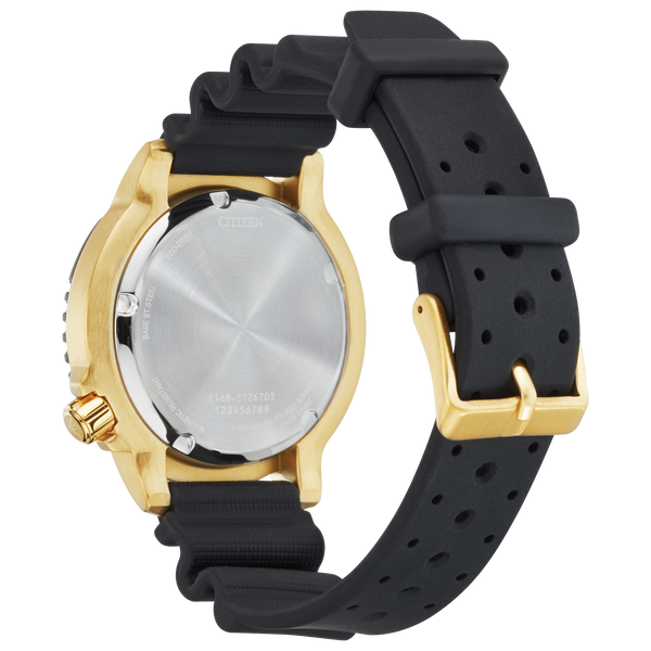 Montre Citizen Promaster Diver BN0152-06E